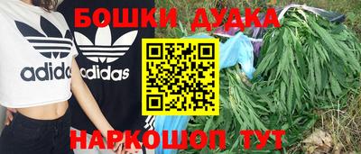 МДПВ Партизанск