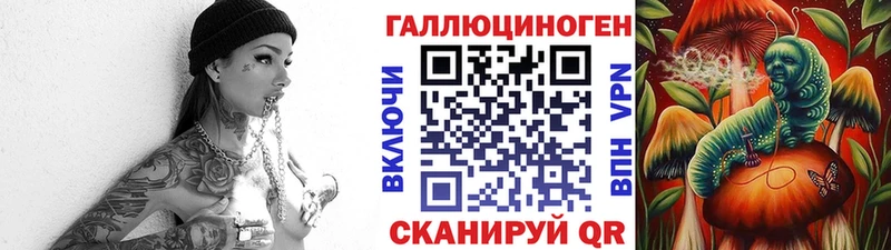 Псилоцибиновые грибы Cubensis  Строитель 