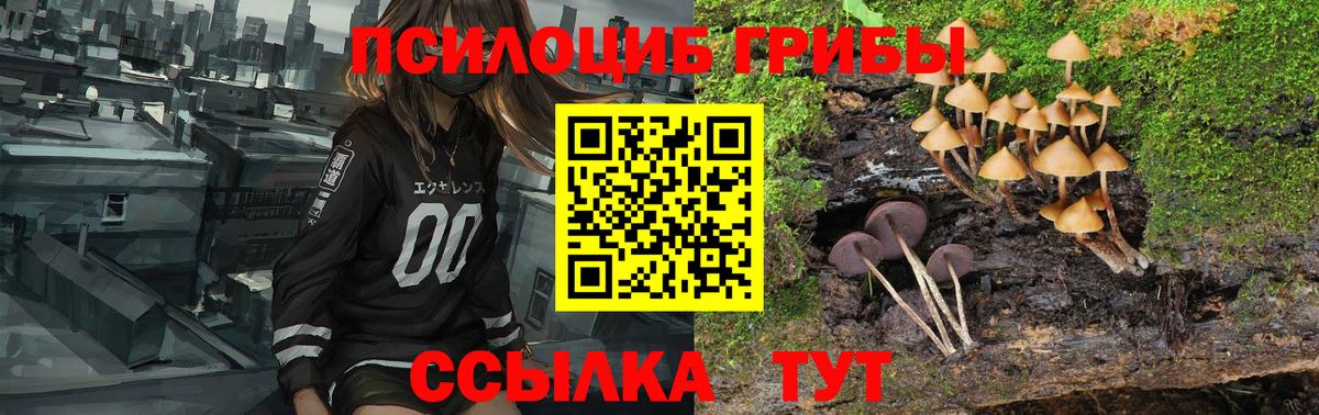 Галлюциногенные грибы ЛСД  Вход с VPN  Строитель 