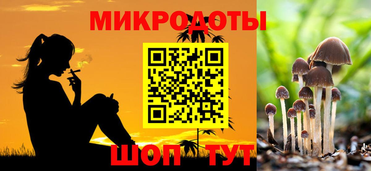 Галлюциногенные грибы мухоморы Строитель