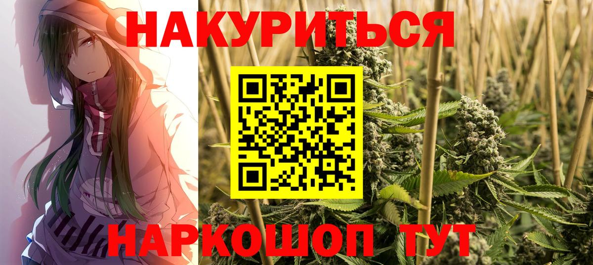 Конопля сатива  Бошки марихуана конопля  Вход с VPN  Строитель  МАРИХУАНА марихуана  Каннабис Ganja 